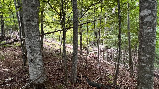 1.66 Ac Eagle Ridge Road 13, Roan Mountain, TN 37687