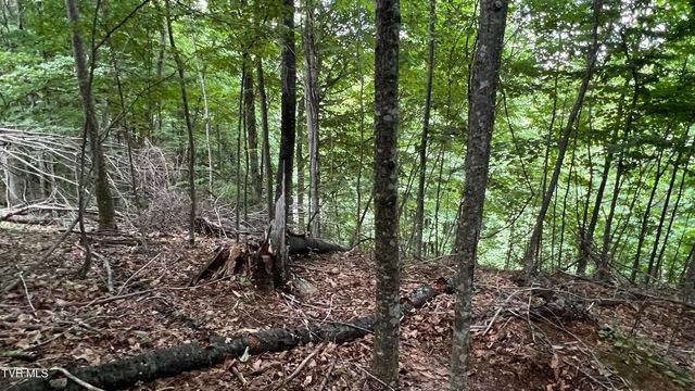 1.66 Ac Eagle Ridge Road 13, Roan Mountain, TN 37687