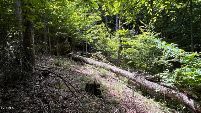 1.66 Ac Eagle Ridge Road 13, Roan Mountain, TN 37687
