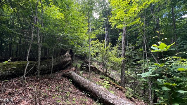 1.66 Ac Eagle Ridge Road 13, Roan Mountain, TN 37687