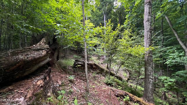 1.66 Ac Eagle Ridge Road 13, Roan Mountain, TN 37687