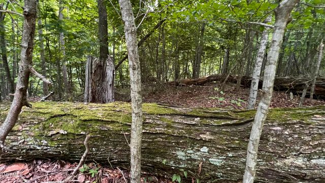 1.66 Ac Eagle Ridge Road 13, Roan Mountain, TN 37687