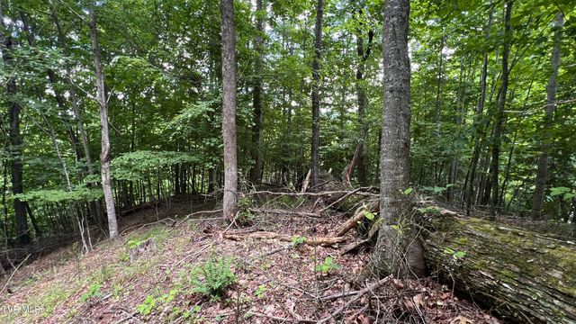 1.66 Ac Eagle Ridge Road 13, Roan Mountain, TN 37687