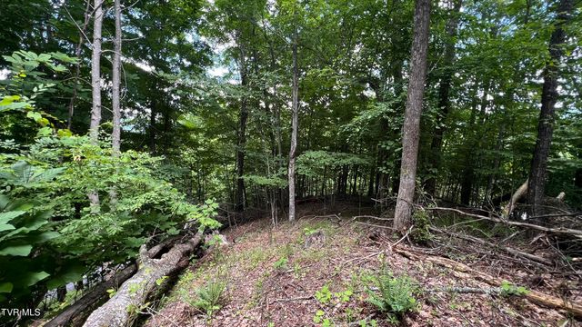 1.66 Ac Eagle Ridge Road 13, Roan Mountain, TN 37687