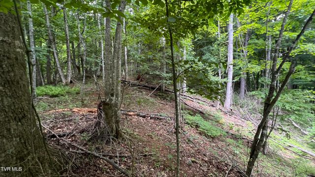 1.66 Ac Eagle Ridge Road 13, Roan Mountain, TN 37687
