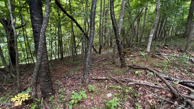 1.66 Ac Eagle Ridge Road 13, Roan Mountain, TN 37687