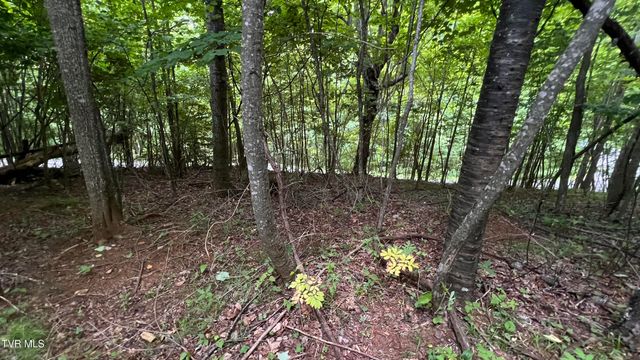 1.66 Ac Eagle Ridge Road 13, Roan Mountain, TN 37687