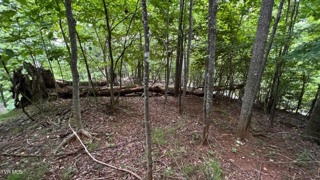 1.66 Ac Eagle Ridge Road 13, Roan Mountain, TN 37687