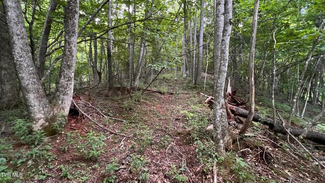 1.66 Ac Eagle Ridge Road 13, Roan Mountain, TN 37687