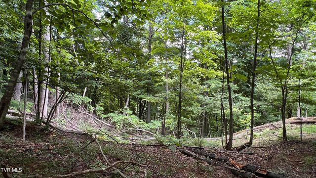 1.66 Ac Eagle Ridge Road 13, Roan Mountain, TN 37687