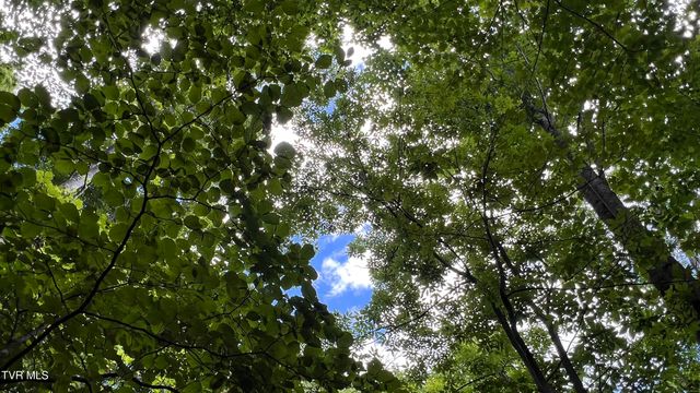 1.66 Ac Eagle Ridge Road 13, Roan Mountain, TN 37687