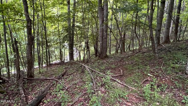 1.66 Ac Eagle Ridge Road 13, Roan Mountain, TN 37687