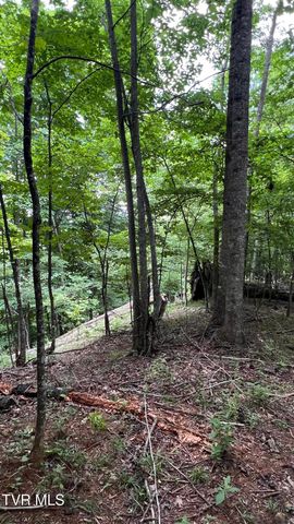 1.66 Ac Eagle Ridge Road 13, Roan Mountain, TN 37687