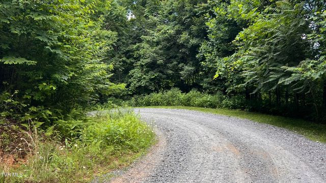 1.66 Ac Eagle Ridge Road 13, Roan Mountain, TN 37687