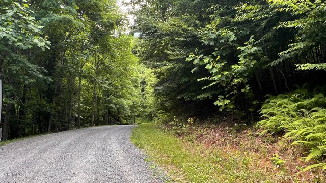 1.66 Ac Eagle Ridge Road 13, Roan Mountain, TN 37687
