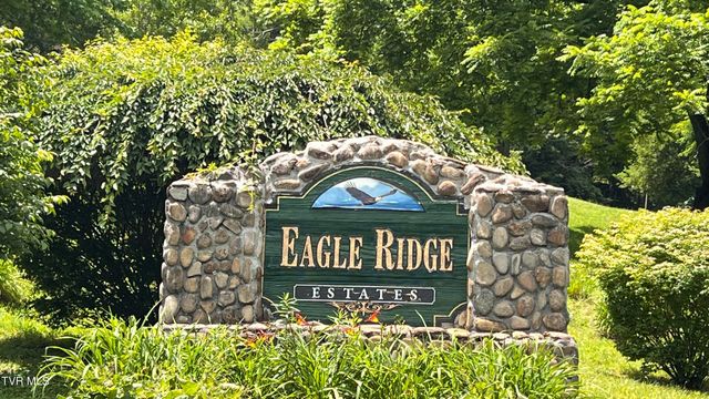 1.66 Ac Eagle Ridge Road 13, Roan Mountain, TN 37687