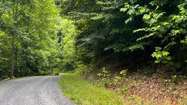 1.66 Ac Eagle Ridge Road 13, Roan Mountain, TN 37687