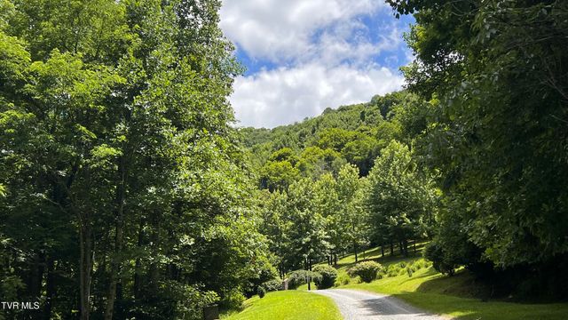 1.66 Ac Eagle Ridge Road 13, Roan Mountain, TN 37687