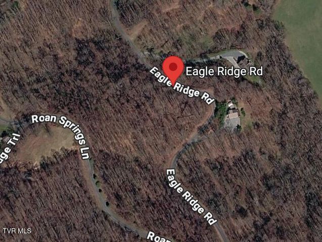 1.66 Ac Eagle Ridge Road 13, Roan Mountain, TN 37687