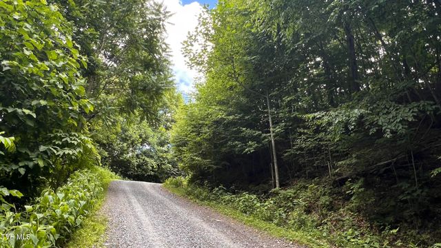 1.66 Ac Eagle Ridge Road 13, Roan Mountain, TN 37687