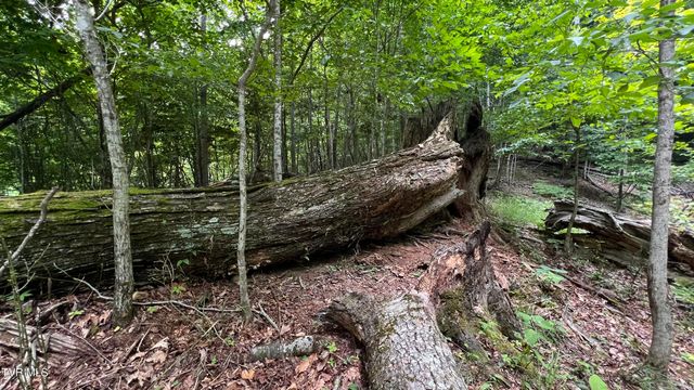 1.66 Ac Eagle Ridge Road 13, Roan Mountain, TN 37687