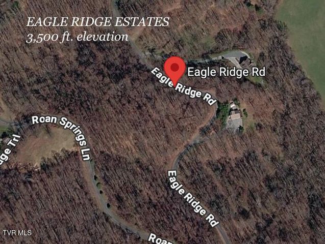 1.66 Ac Eagle Ridge Road 13, Roan Mountain, TN 37687
