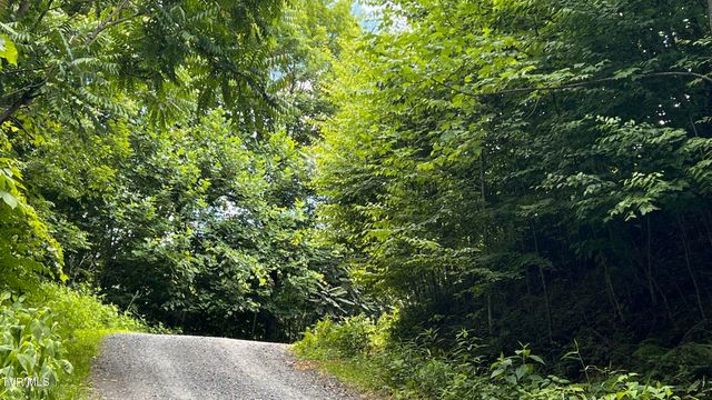 1.66 Ac Eagle Ridge Road 13, Roan Mountain, TN 37687