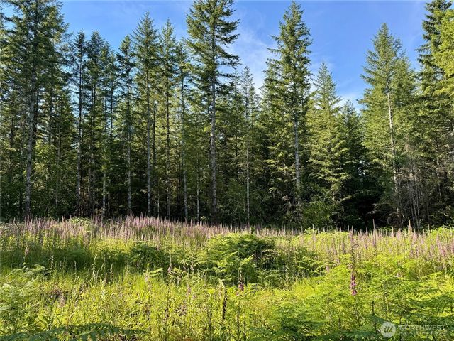 35186 294th Avenue SE, Enumclaw, WA 98022