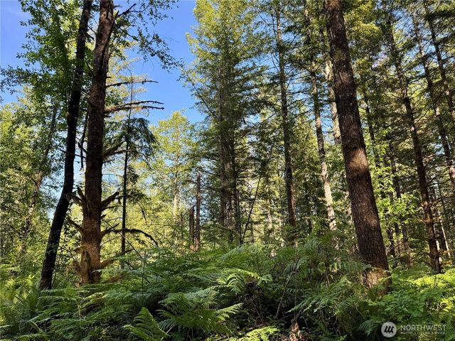 35186 294th Avenue SE, Enumclaw, WA 98022