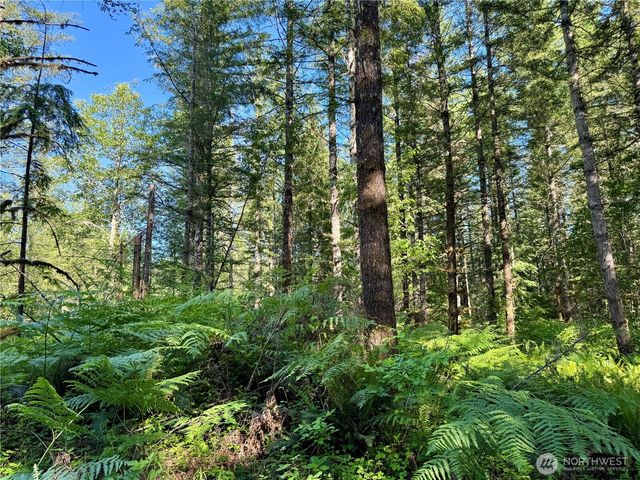 35186 294th Avenue SE, Enumclaw, WA 98022