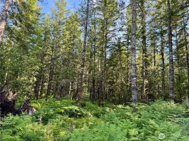35186 294th Avenue SE, Enumclaw, WA 98022