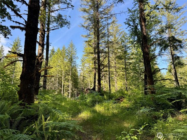 35186 294th Avenue SE, Enumclaw, WA 98022