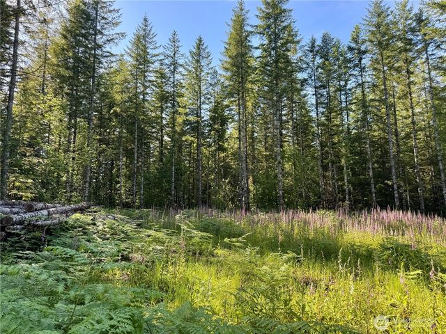 35186 294th Avenue SE, Enumclaw, WA 98022