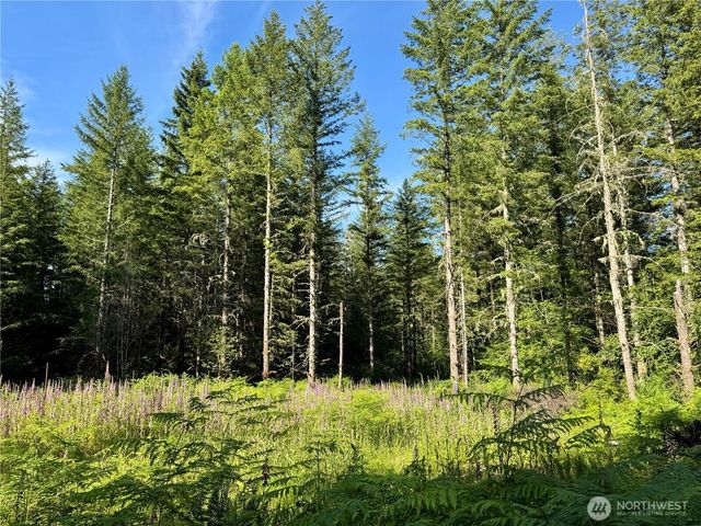 35186 294th Avenue SE, Enumclaw, WA 98022