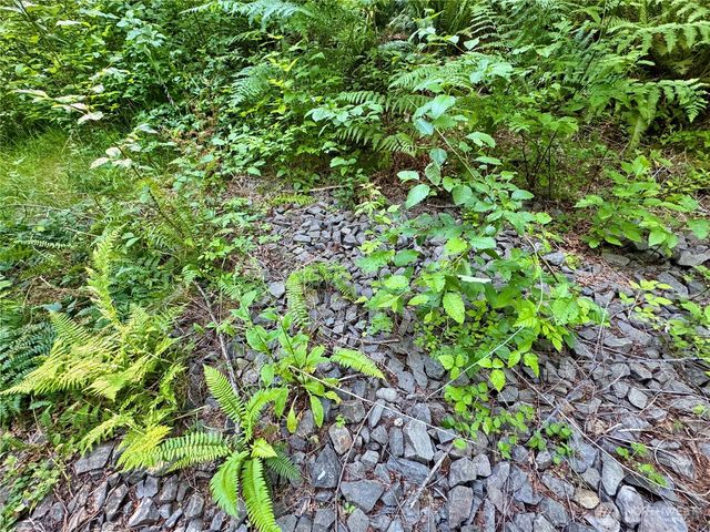 35186 294th Avenue SE, Enumclaw, WA 98022