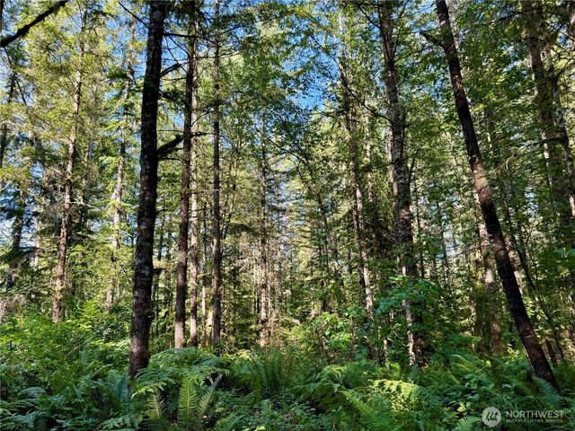 35186 294th Avenue SE, Enumclaw, WA 98022