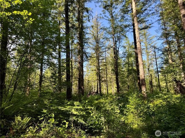 35186 294th Avenue SE, Enumclaw, WA 98022