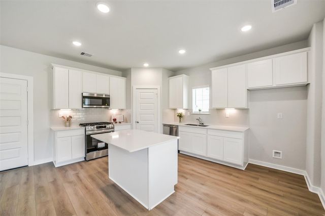 8642 Blueberry Ash Street, Magnolia, TX 77354