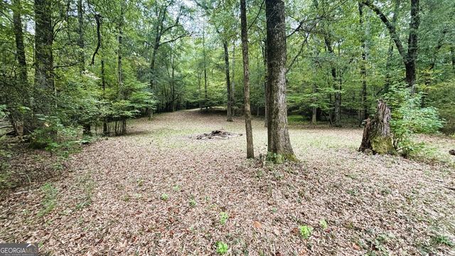 2489 Boxankle Road, Forsyth, GA 31029