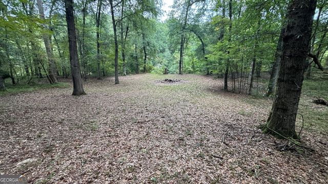2489 Boxankle Road, Forsyth, GA 31029