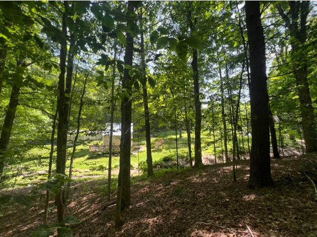 1171 Wickopee Hill, Dummerston, VT 05301