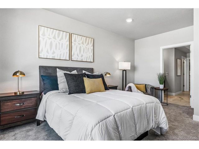 20 Wilcox St 520, Castle Rock, CO 80104
