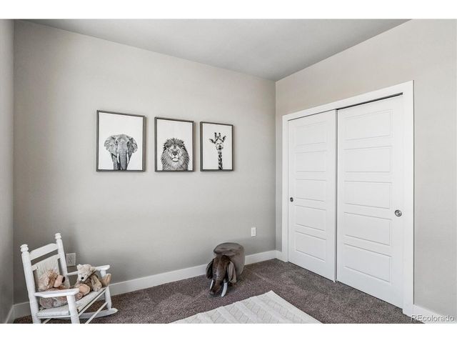 20 Wilcox St 520, Castle Rock, CO 80104