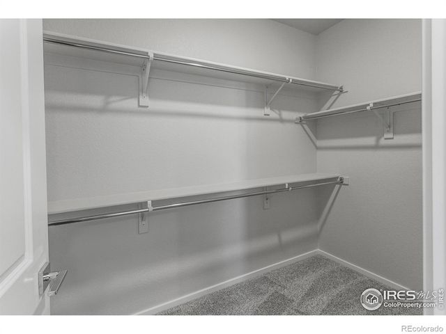 2120 Falling Leaf Drive 8, Windsor, CO 80550