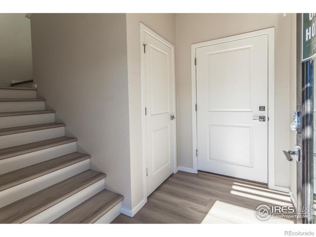 2120 Falling Leaf Drive 8, Windsor, CO 80550