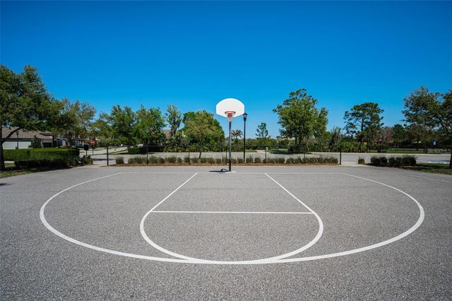 11922 FROST ASTER DRIVE, Riverview, FL 33579