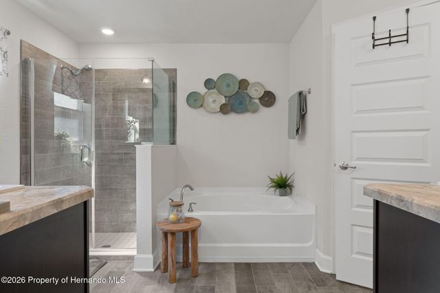 3373 Dothan Avenue, Spring Hill, FL 34609