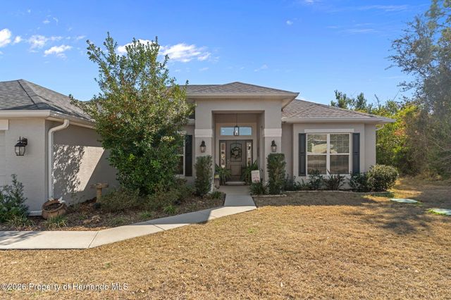 3373 Dothan Avenue, Spring Hill, FL 34609