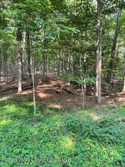 L-25 Sunside Road, Acra, NY 12405