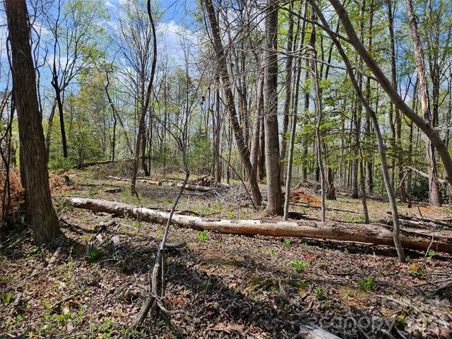 0 Whitney Boulevard 57, Lake Lure, NC 28746